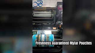 Printed Mylar Pouch Airtight Food Grade Resealable Storage Pouch