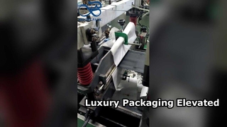 Luxury Stand-Up Bag High-End Matte Frosted Brand Print Pouch