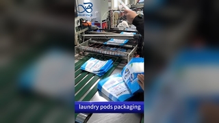 Laundry Capsules Plastic Bag: Child Resistant Leak-Proof B2B Custom Printed Safe Pouches