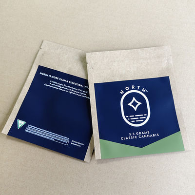 Custom Printed Kraft Paper Bags Bulk Order Eco-Friendly 10-Color Logo Printing Retail.