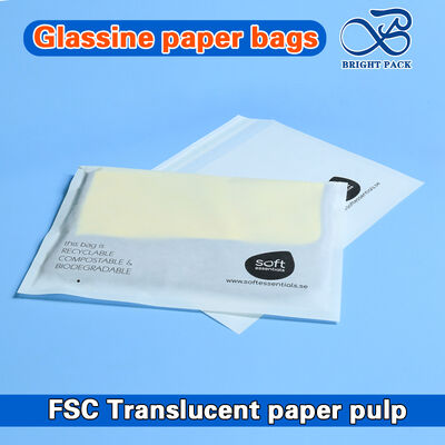 Customized Frosted Glassine Paper Bags with Punched Holes and Self Adhesive Stripe for Apparel Packaging